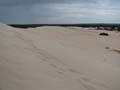 Little Sahara